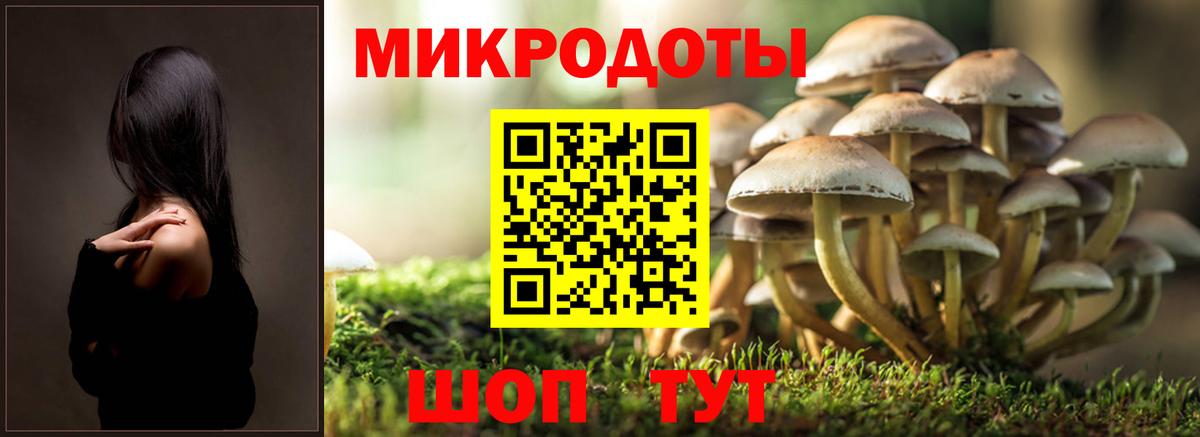 Галлюциногенные грибы Magic Shrooms  Вход с VPN  Бахчисарай 