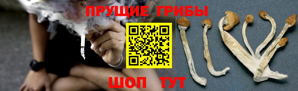 Галлюциногенные грибы Cubensis Бахчисарай